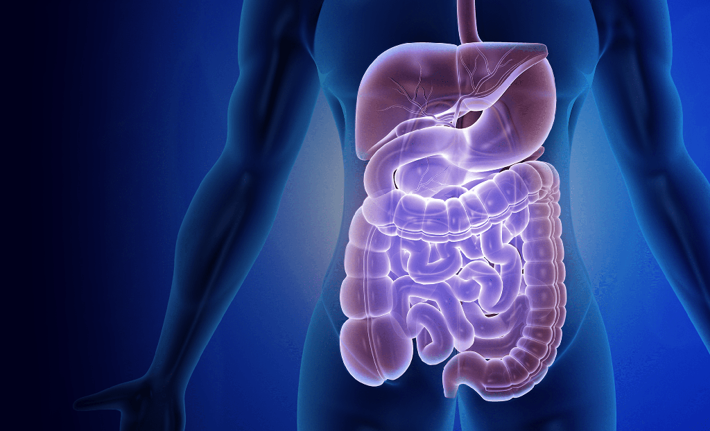 Areas of Expertise Background Image