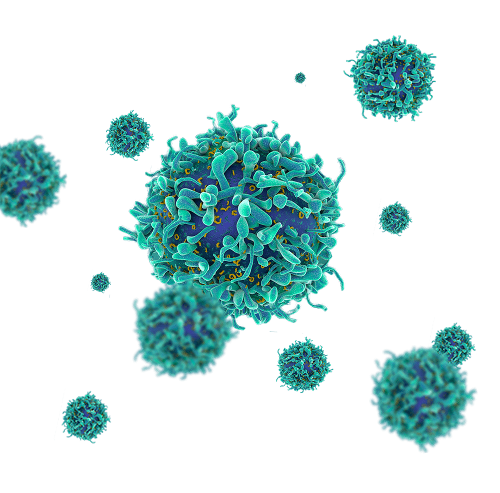 Cancer Surgical Image