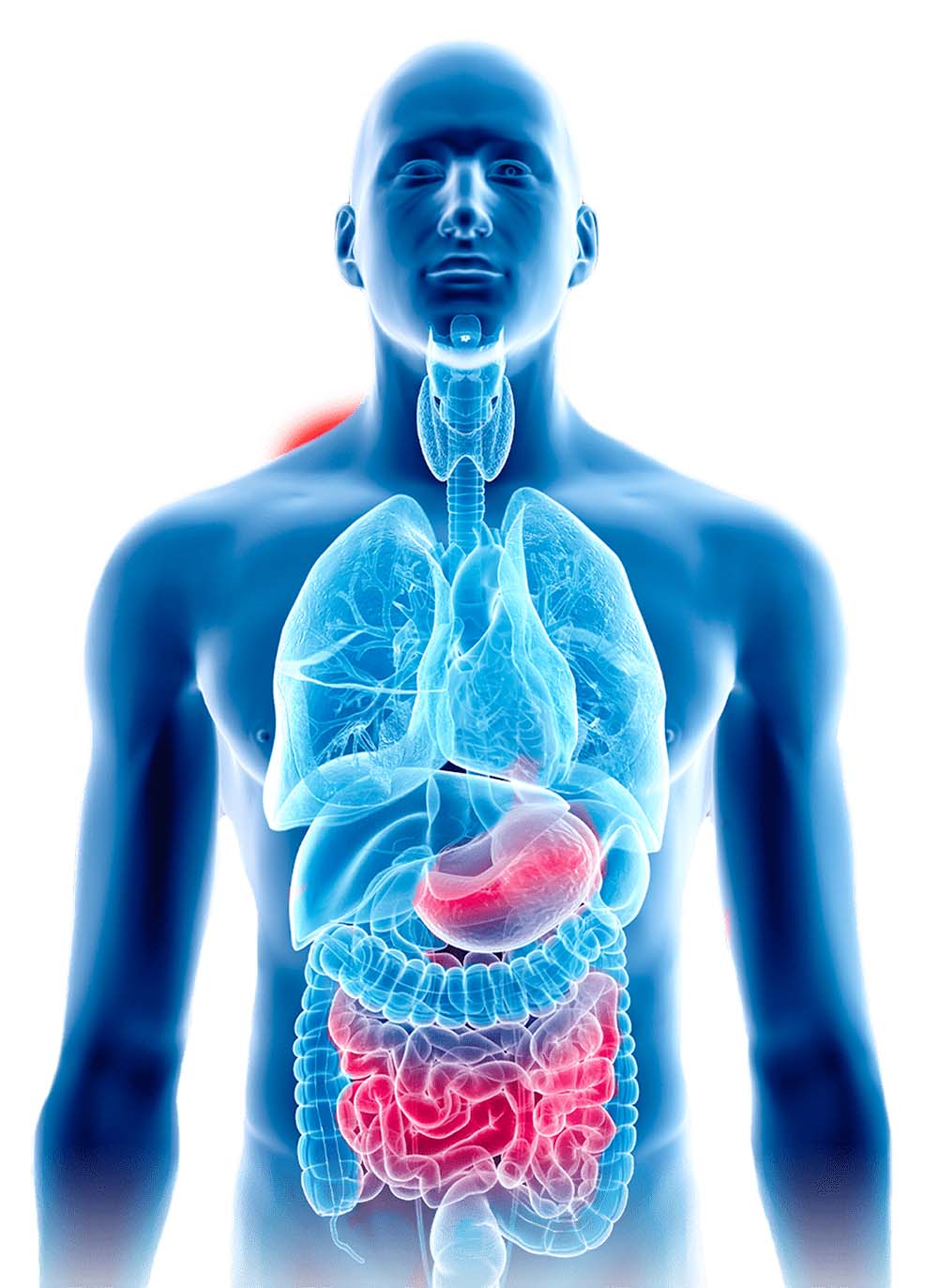 Upper Gastrointestinal Surgery